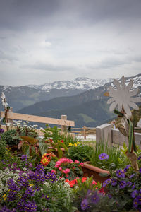 Scenic view of flowering plants and mountains against sky