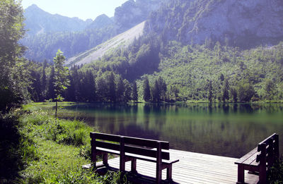Bench by lake in forest