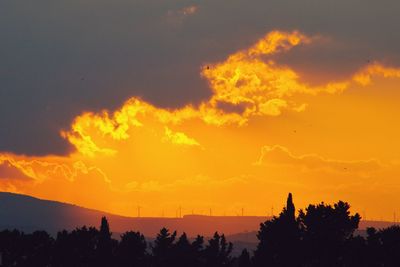 Low angle view of silhouette trees against orange sky