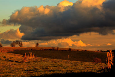 Scenic view of field against sky during sunset