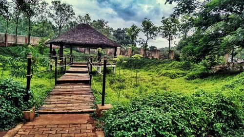 Footpath in park