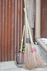 Close-up of bamboo against wall