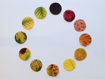 Directly above view of leaves on white background