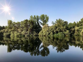 Reflection of trees in lake against clear sky