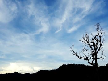 Low angle view of silhouette trees against sky during sunset