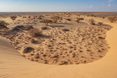 Scenic view of north horr sand dunes in marsabit county, kenya