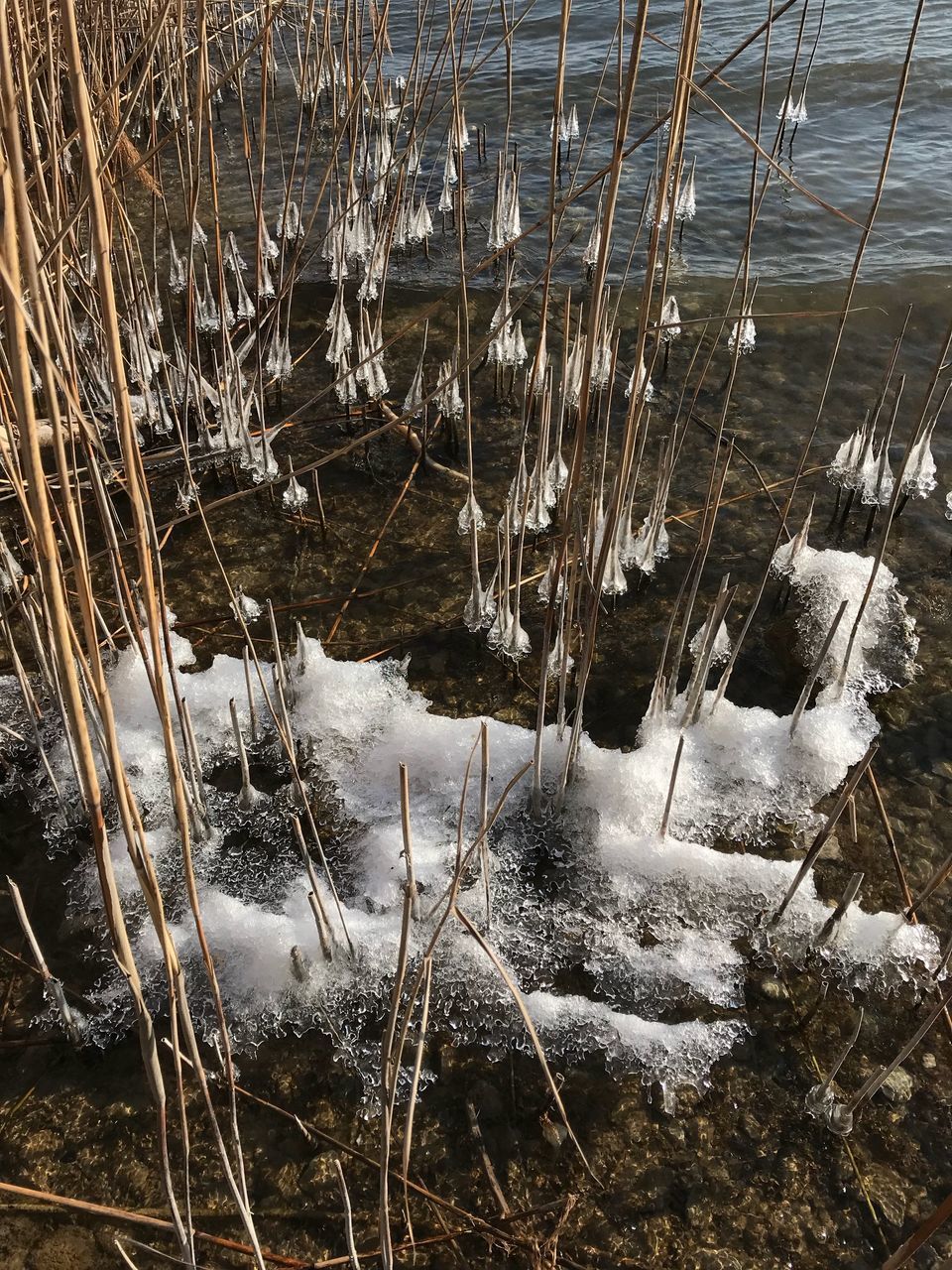 nature, water, no people, tranquility, winter, day, outdoors, tranquil scene, beauty in nature, lake, cold temperature, grass, snow, close-up