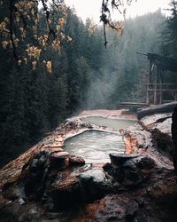 Scenic view of waterfall in forest