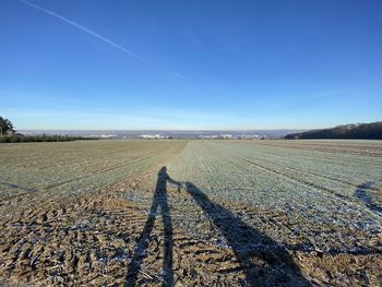 Scenic view of agricultural field against blue sky