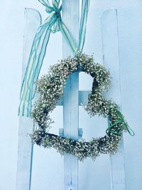 Close-up of plants against door