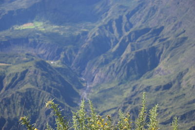 Scenic view of mountains