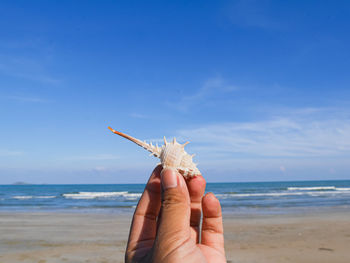 Close-up of hand holding shell at beach against sky