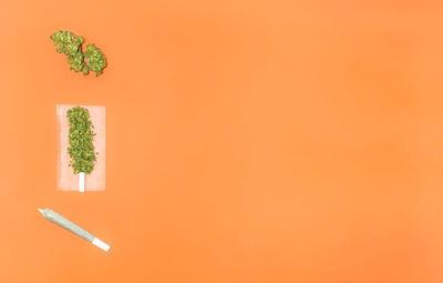 High angle view of potted plant against orange wall