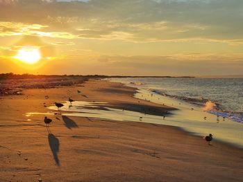 Scenic view of beach against sky during sunset