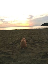 View of calm sea at sunset