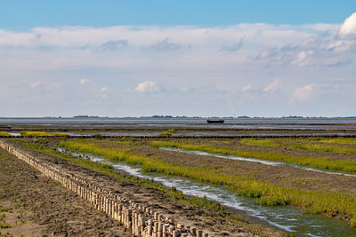 Scenic view of agricultural field against sky