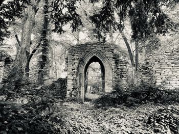 Old ruin of building in forest