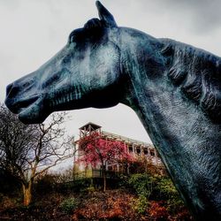 Side view of horse against sky