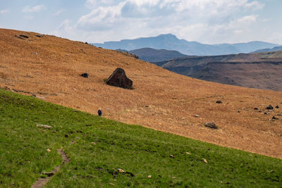 Scenic view of landscape against sky