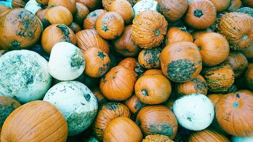 Full frame shot of pumpkins in market for sale