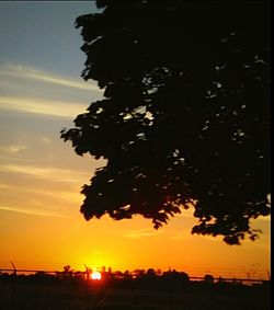 Silhouette tree against sky during sunset