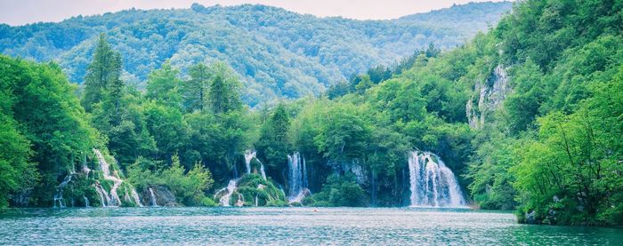 Scenic view of waterfall in forest