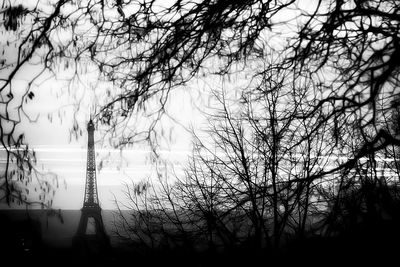 Silhouette of bare trees against sky at sunset