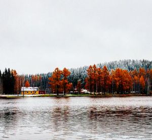 Reflection of trees in lake