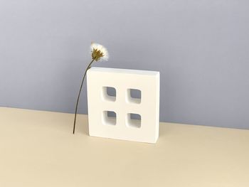 Close-up of white flower on table against wall