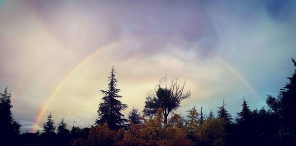 Low angle view of rainbow over trees against sky