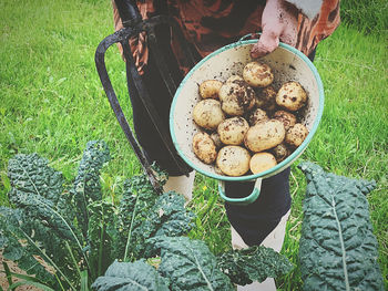 High angle view of person preparing food on field