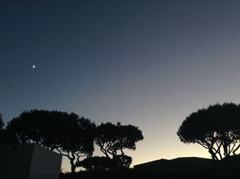 Silhouette trees against clear sky at night