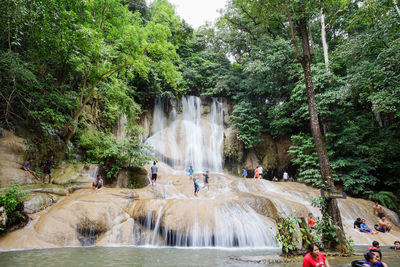 Scenic view of waterfall against trees in forest