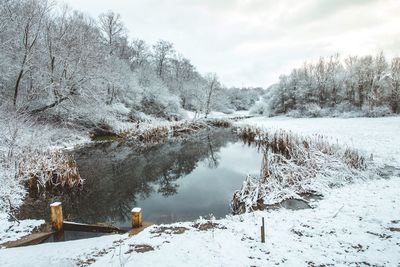 Snow covered plants by lake against sky during winter