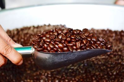 Cropped hand holding roasted coffee beans in serving scoop