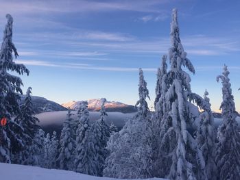 Panoramic view of snow covered landscape against sky