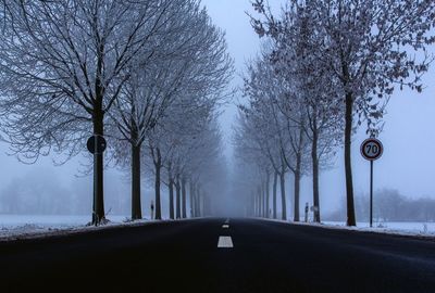 Empty road amidst bare trees during winter