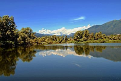 Scenic view of lake by trees against blue sky