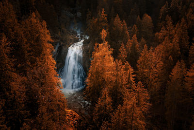 Waterfall surrounded by larch trees in fall colors, salzburg, austria.