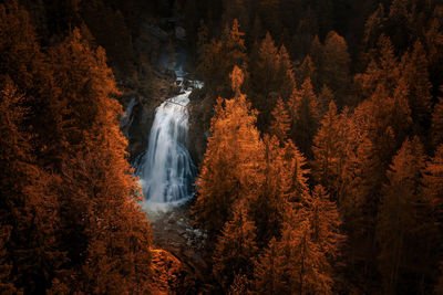 View of waterfall in forest during autumn