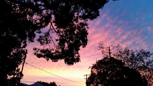 Low angle view of silhouette trees against sky