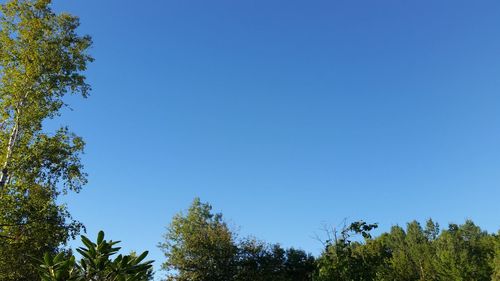 Scenic view of clear blue sky