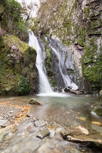 Scenic view of waterfall in forest