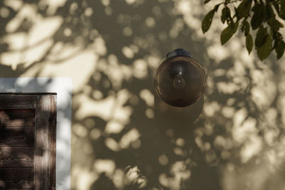 Low angle view of lighting equipment hanging on tree