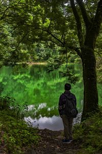 Rear view of man standing by lake in forest