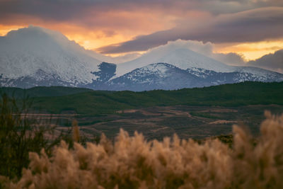 Pale reeds against agricultural fields leading to snow-capped mountains wreathed in cloud.