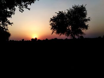 Silhouette trees against sky during sunset