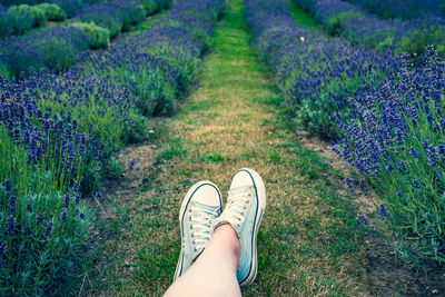 Low section of woman wearing shoes sitting on field