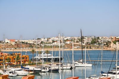 Sailboats moored at harbor against clear sky