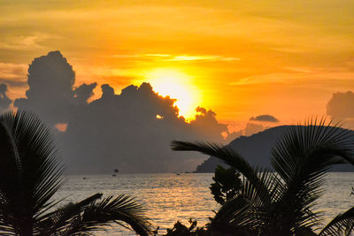 Silhouette palm tree by sea against orange sky